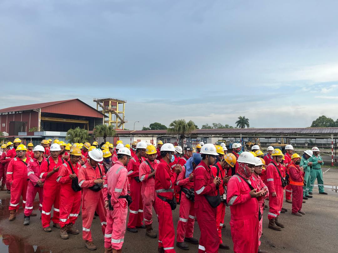 Our Company